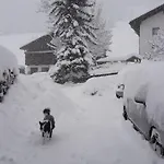 Haus Alpenpanorama *