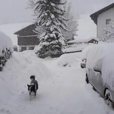 Haus Alpenpanorama *