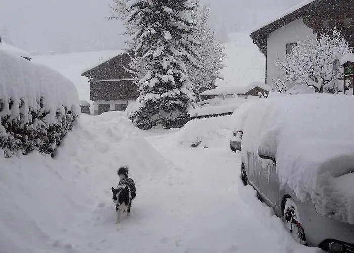 Haus Alpenpanorama *