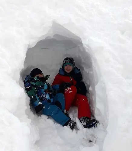 Haus Alpenpanorama 펜델스