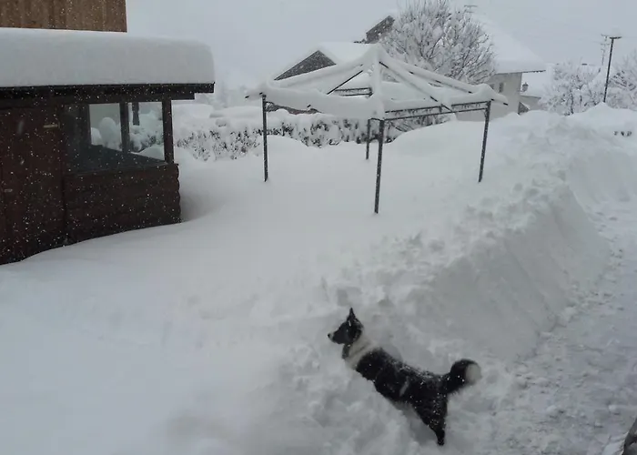 Haus Alpenpanorama דירה *